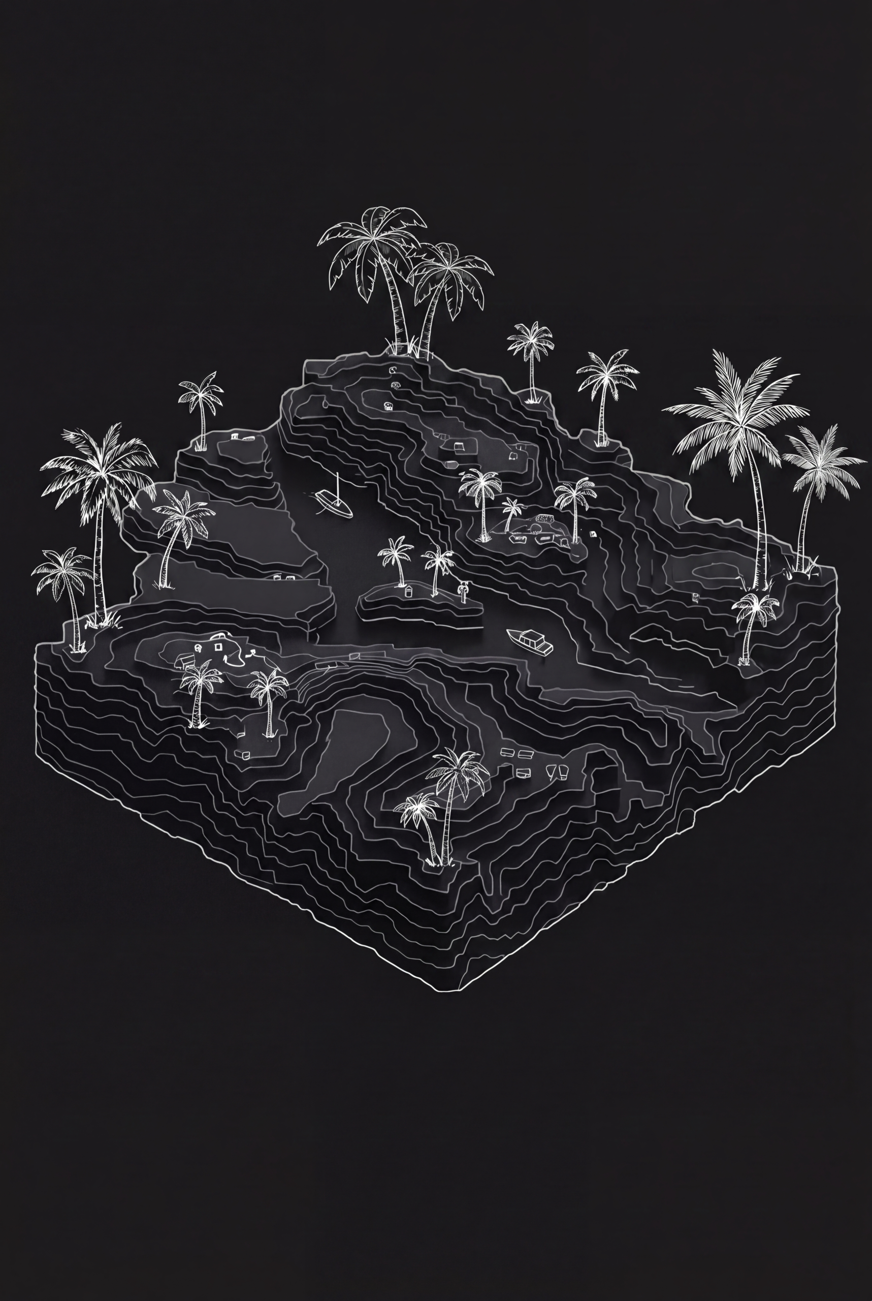 Topographic island, hand-drawn white-on-black register, palm trees marking the framework's coordinates